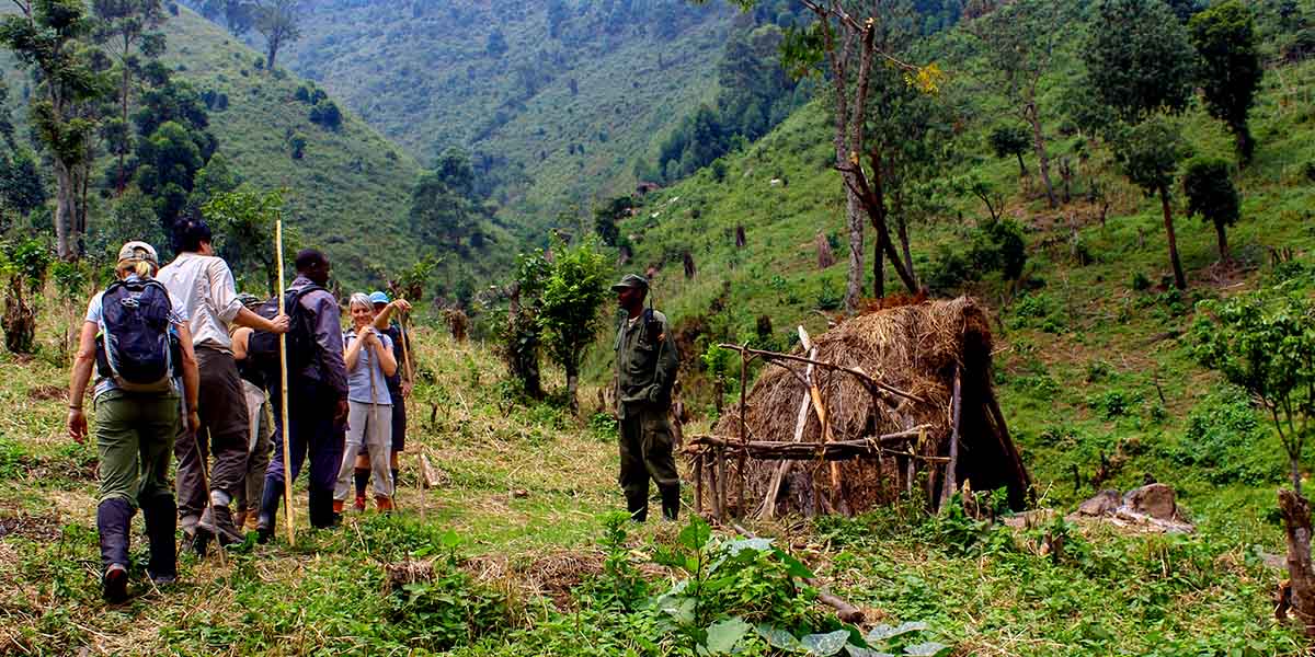 Gorilla Trekking